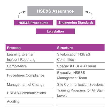 HSE&S Assurance System